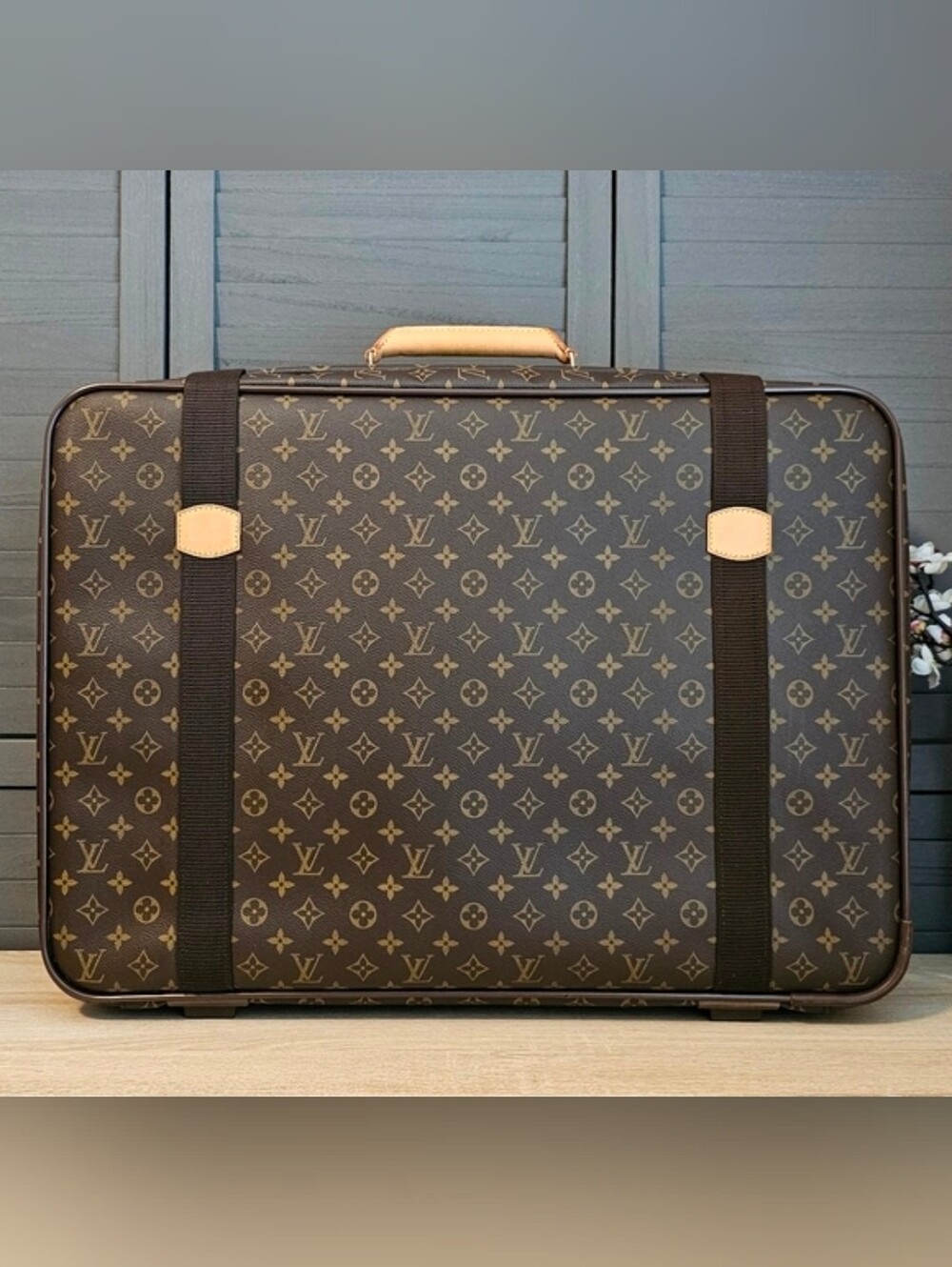 LOUIS VUITTON Satellite Suitcase Luggage Travel Bag